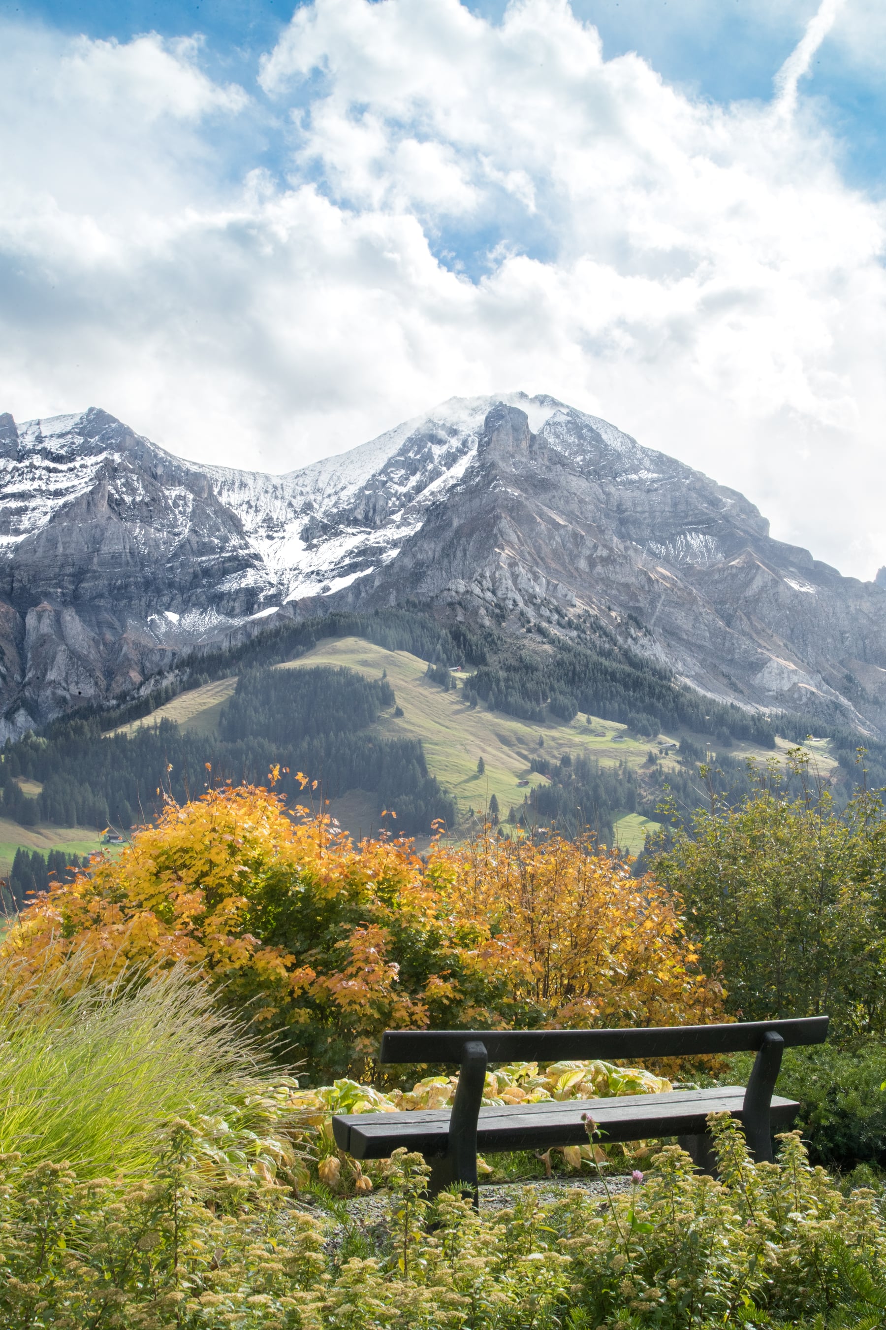 Blick auf die Berner Alpen oberhalb von Adelboden